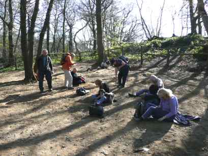efog fossil hunting